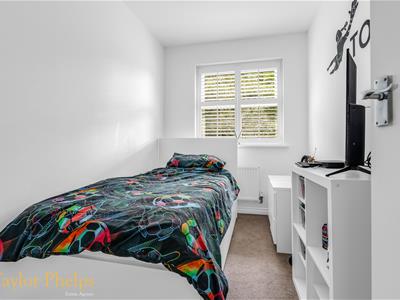 Picture 14
